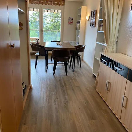 Magnifique Avec Vue Sur Les Sommets Enneigés Appartement