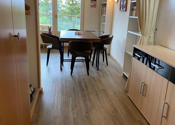 Magnifique Avec Vue Sur Les Sommets Enneiges Apartment